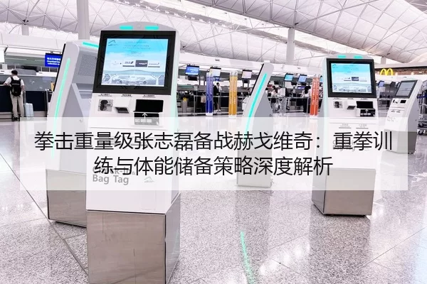 拳击重量级张志磊备战赫戈维奇：重拳训练与体能储备策略深度解析